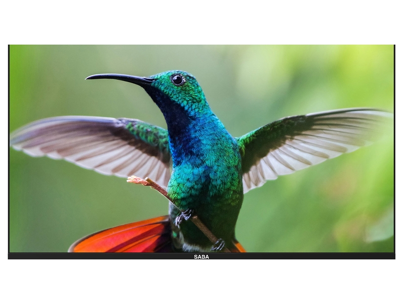 高清LED电视32英寸80厘米